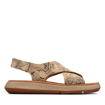 Grey Brown Clarks Jemsa Cross Snake Women's Sandals | SG_JX244