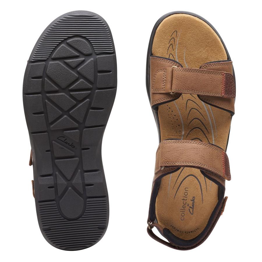 Brown Clarks Hapsford Creek Leather Men's Sandals | SG_EQ73