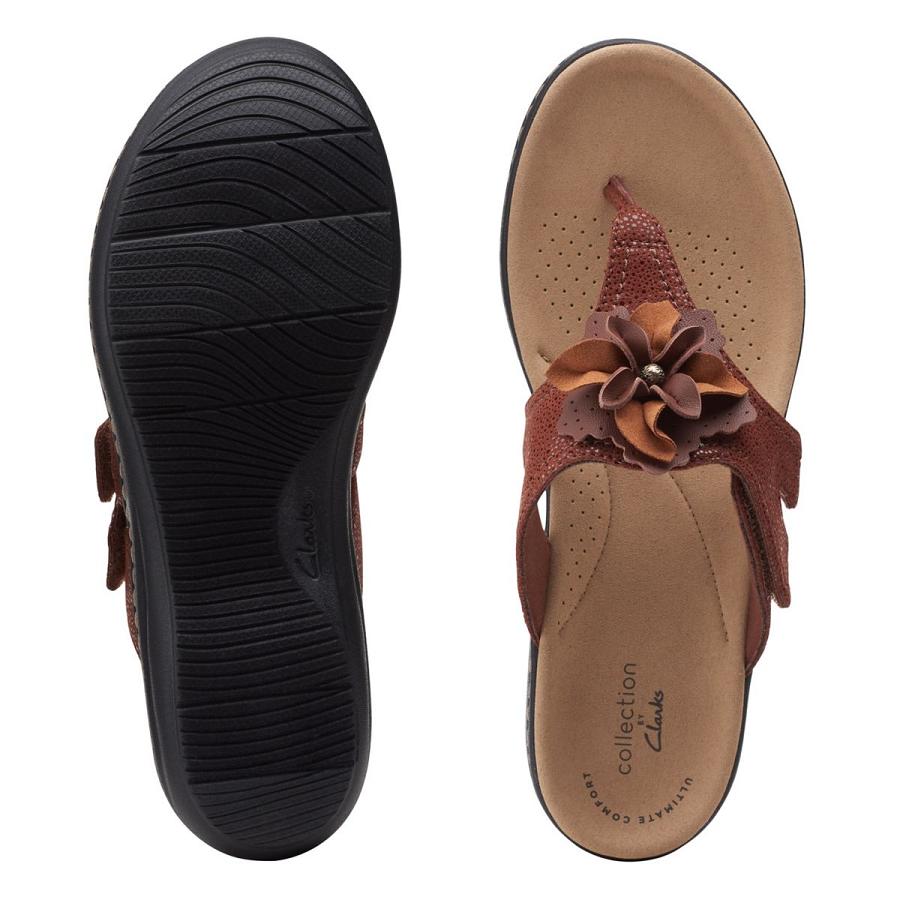 Brown Clarks Laurieann Gema Women's Sandals | SG_QF260