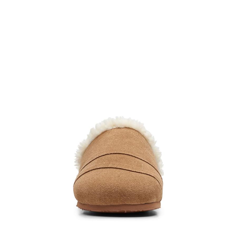 Brown Clarks Sawyer Bo Women's Slippers | SG_BD353