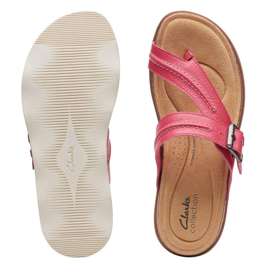 Fuchsia Clarks Brynn Madi Fuchsia Women's Sandals | SG_KB179