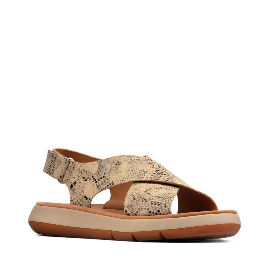 Grey Brown Clarks Jemsa Cross Snake Women's Sandals | SG_JX244