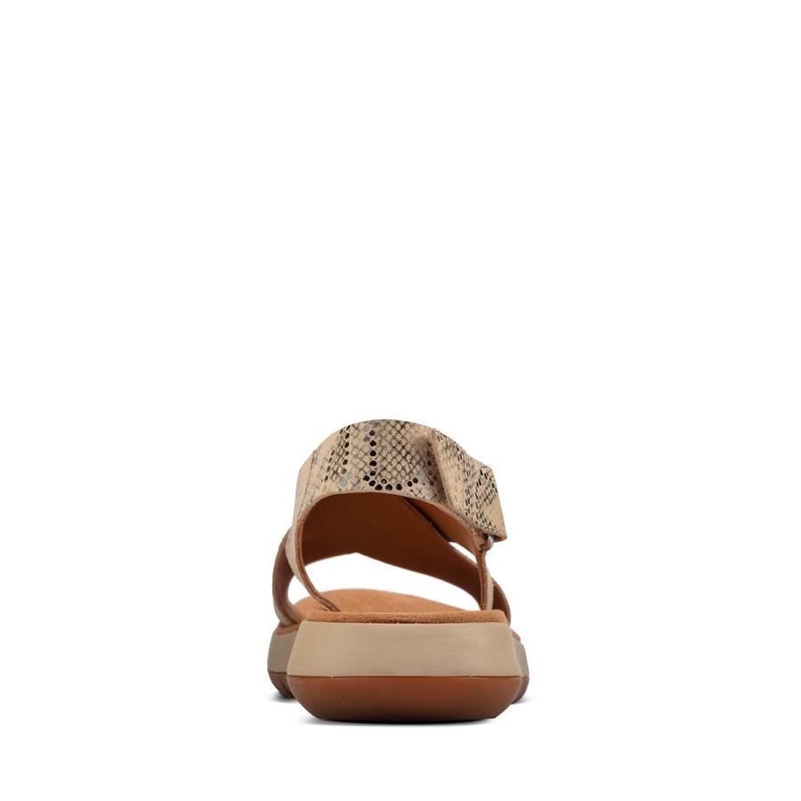 Grey Brown Clarks Jemsa Cross Snake Women's Sandals | SG_JX244