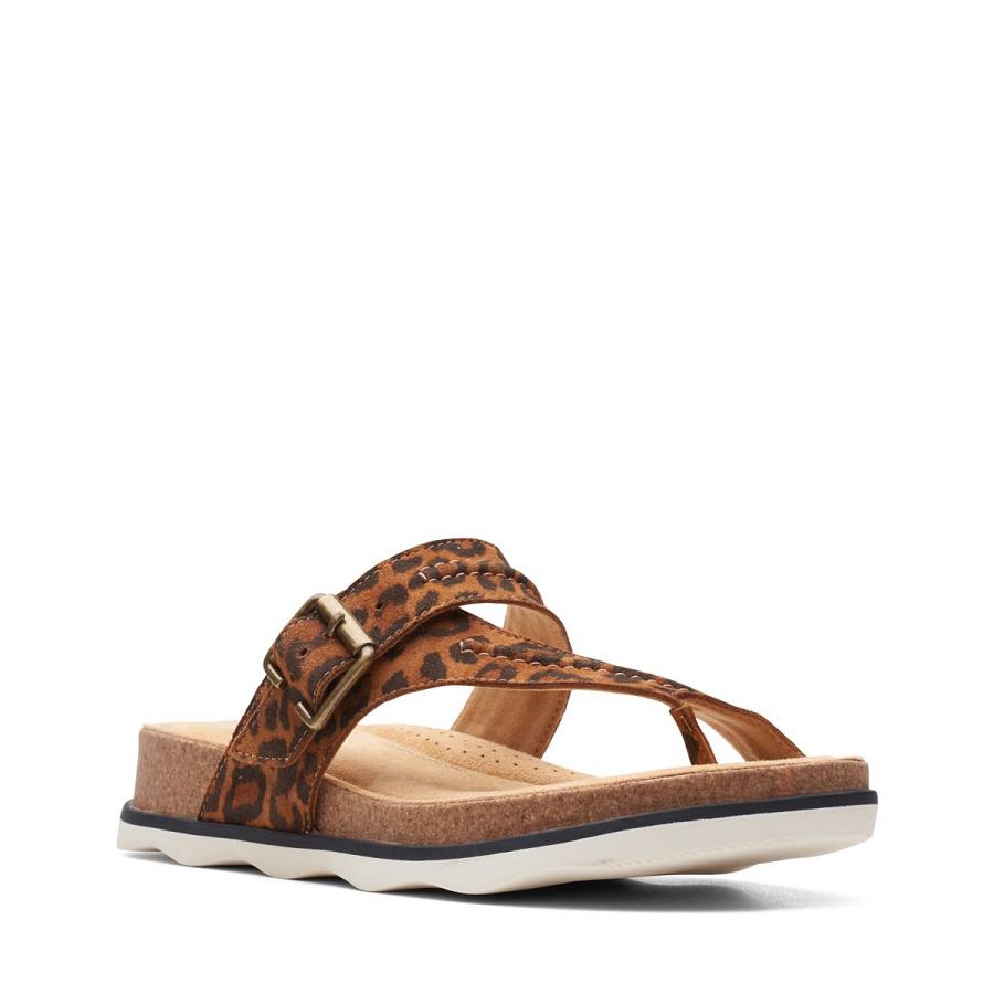 Leopard Clarks Brynn Madi Print Women's Sandals | SG_AH178