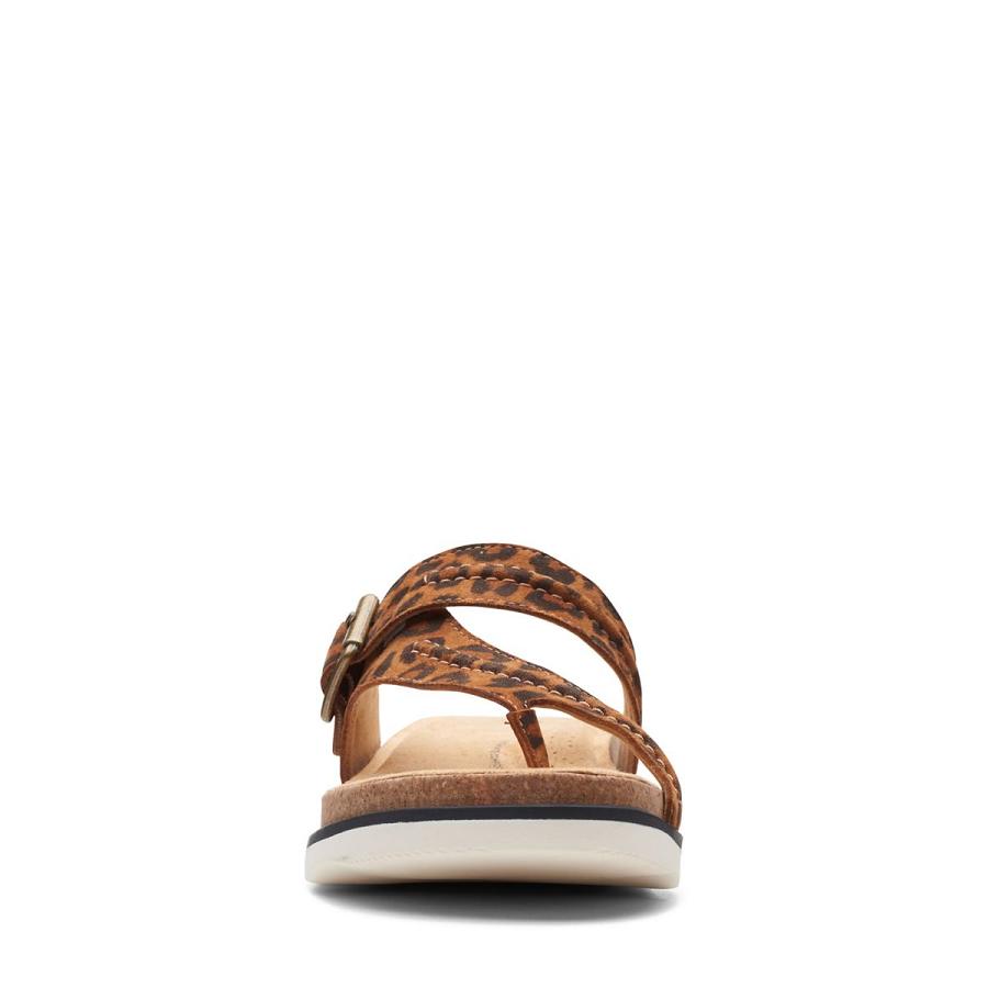 Leopard Clarks Brynn Madi Print Women's Sandals | SG_AH178