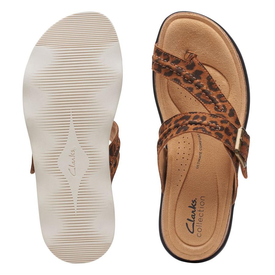 Leopard Clarks Brynn Madi Print Women's Sandals | SG_AH178